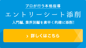 プロが行う本格指導「エントリーシート添削」入門編、業界別編を素早く的確に添削！