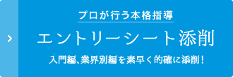 プロが行う本格指導「エントリーシート添削」入門編、業界別編を素早く的確に添削！