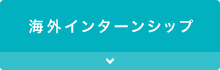 海外インターンシップ